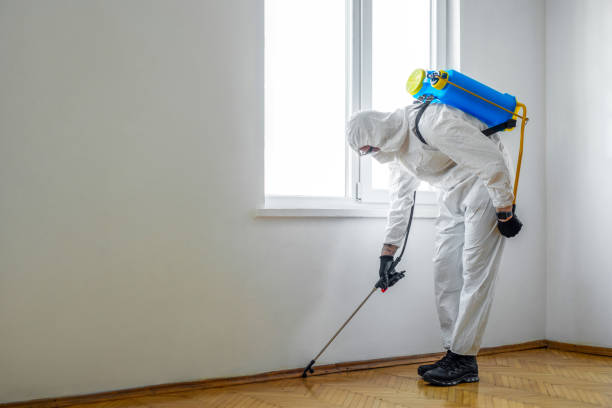 Best Termite Inspection and Treatment  in Britt, IA